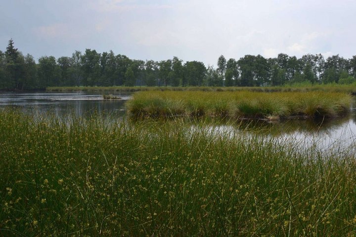 Landschaftsschutzgebiet See im Stell bei Lauenbrück. Foto: Joachim Looks ©